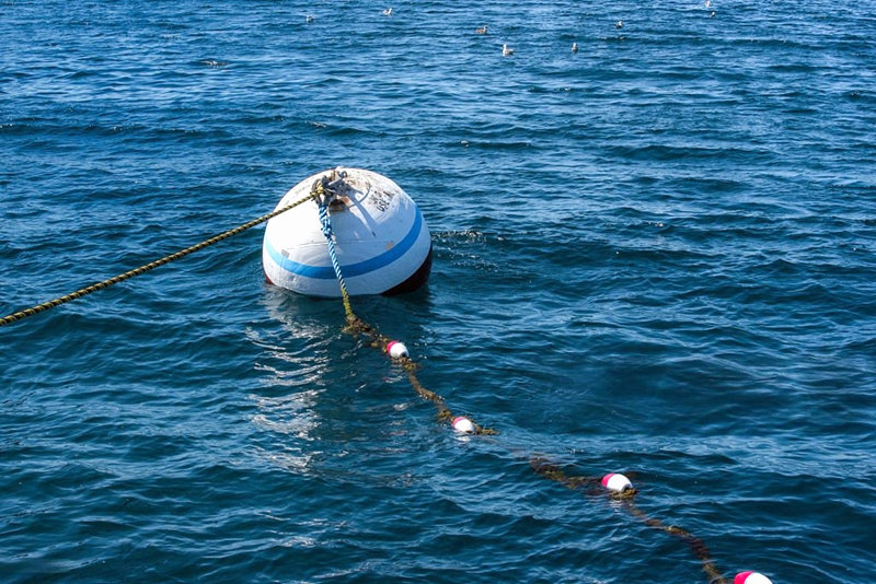 mooring buoy-.jpg