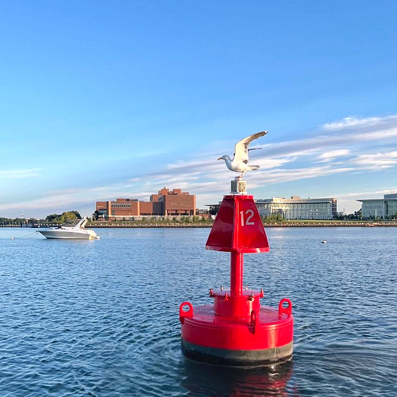 seagull buoy.jpg
