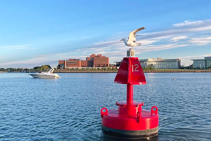 Seagulls and Seals on Sea Buoys — Nature Meets Marine Engineering